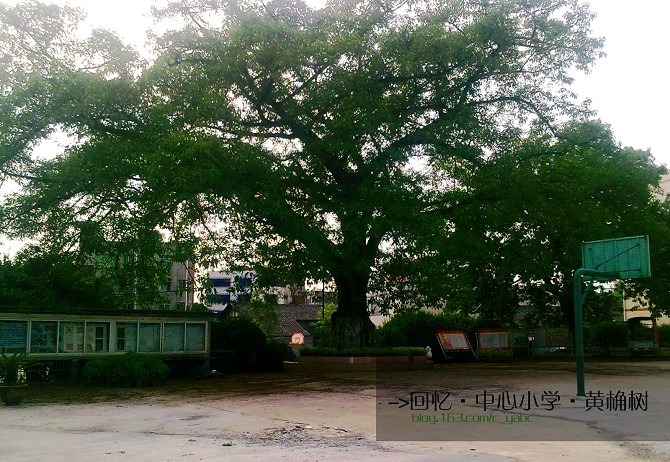 仁义中心小学