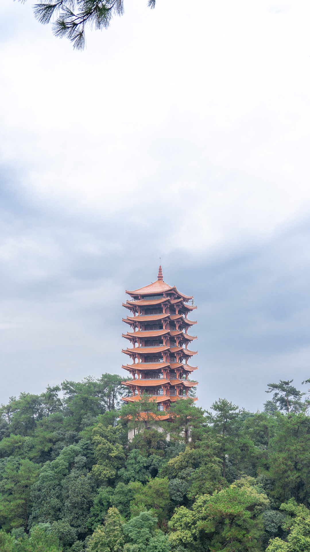 从狮子峰望过去有一座高塔
