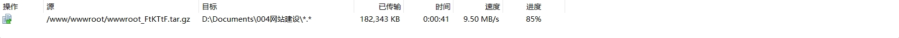 100M带宽！