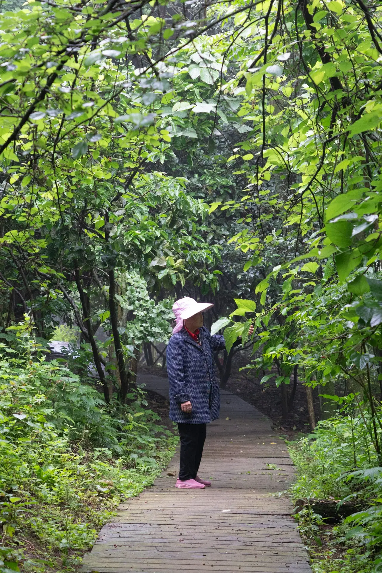 荣昌铜鼓山