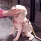 的头像