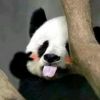 的头像